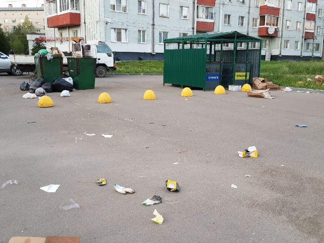 История одной мусорки на центральной улице Ухты, возле ТЦ Куратовский
